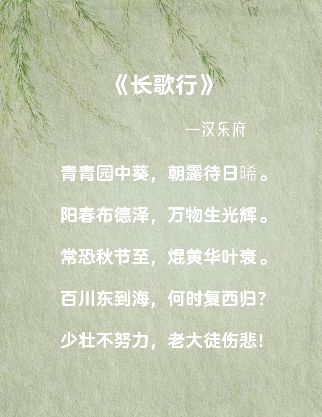 有关于青春的诗歌唯美语录