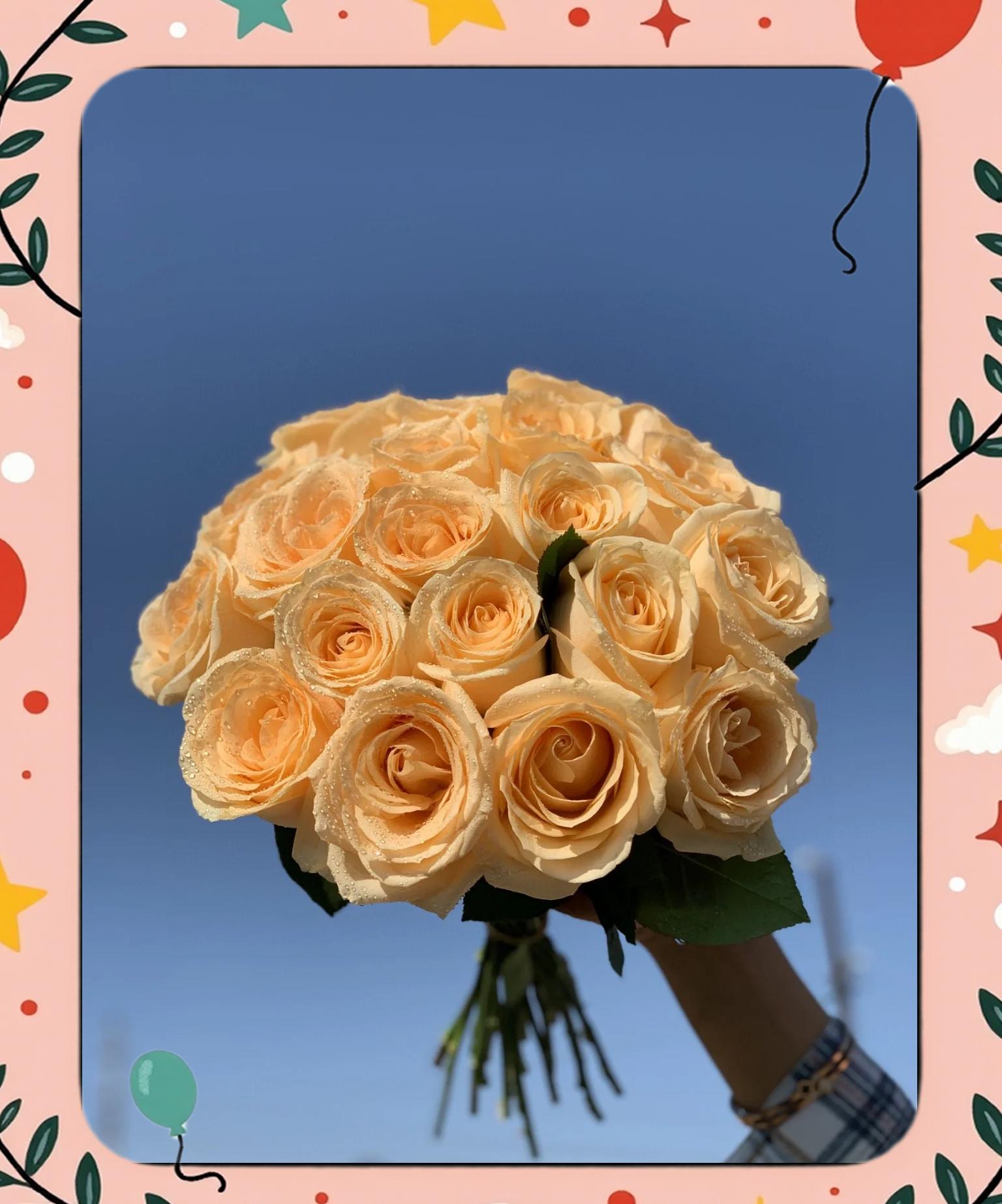 香槟玫瑰花花语是什么意思
