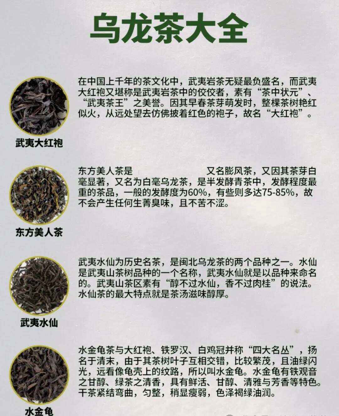 乌龙茶是红茶吗?