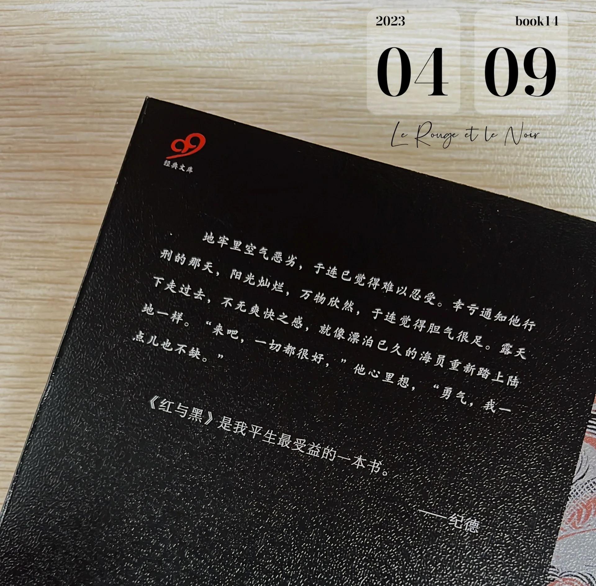 红与黑读后感300字左右