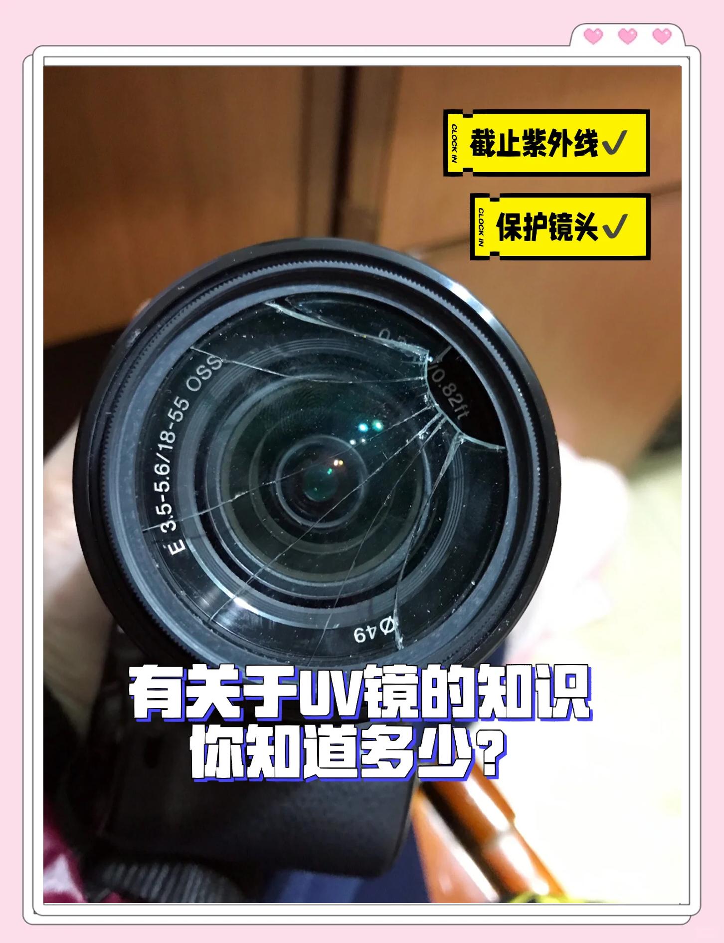 2025年9月 第450页
