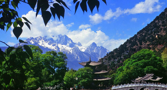 仙踪林在哪