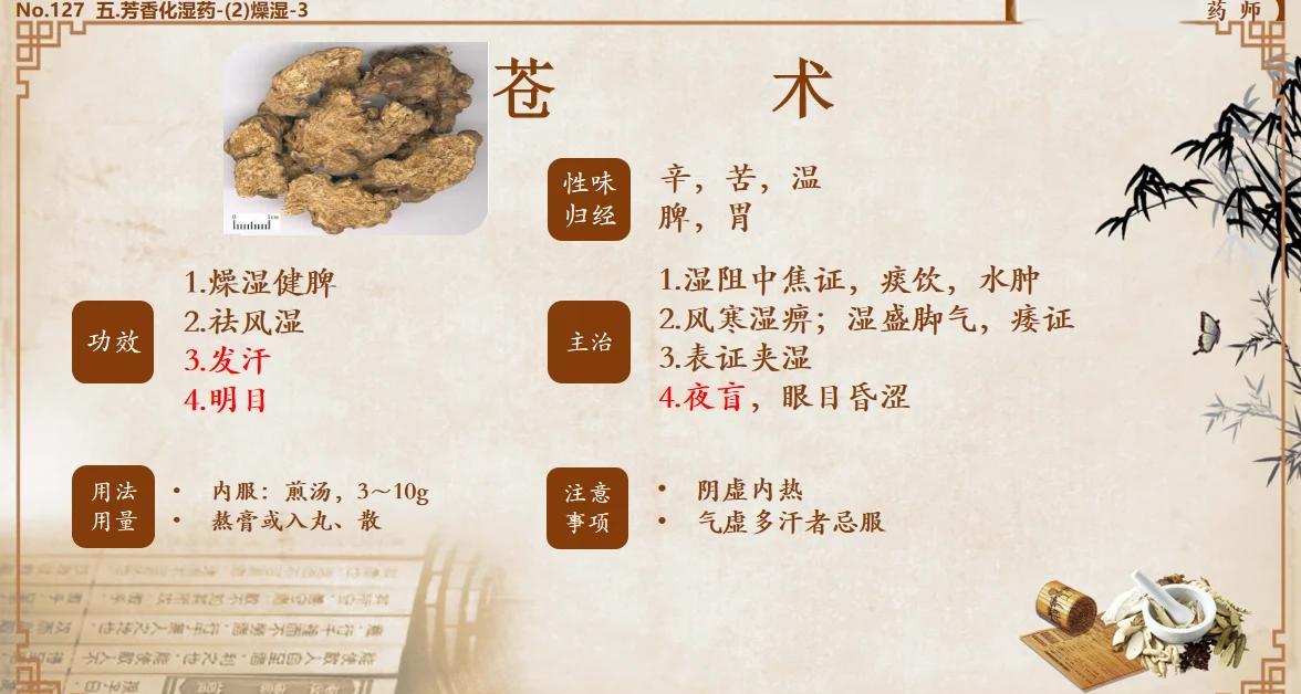 中药苍术的功效与作用及食用方法图片