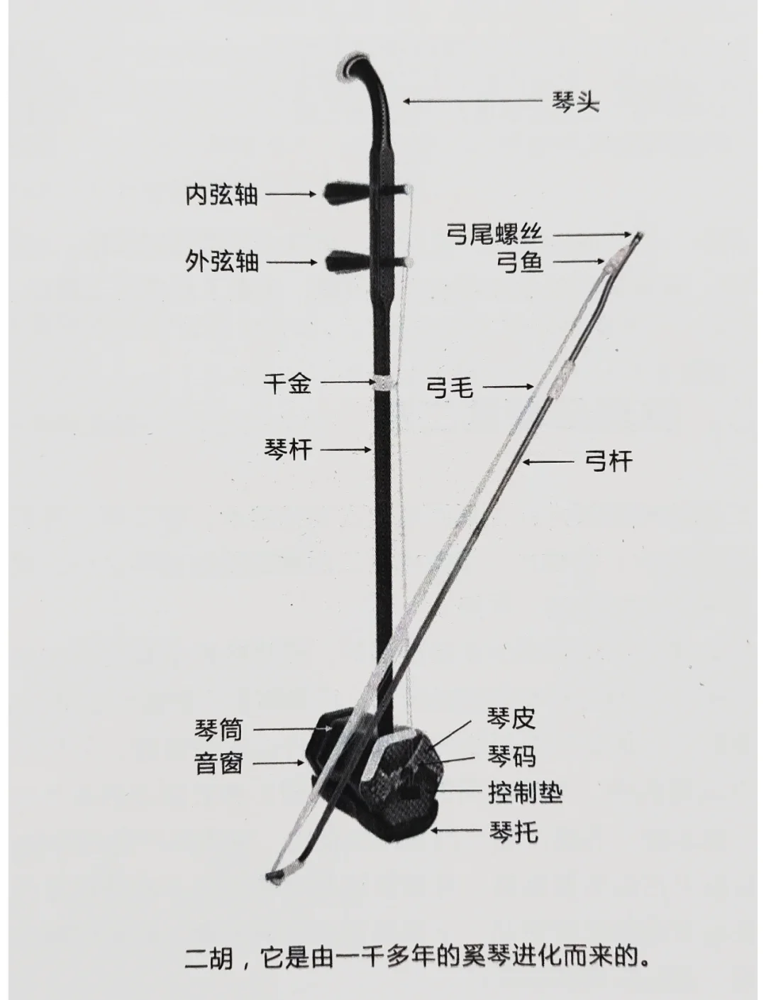 二胡切分音怎样拉弦