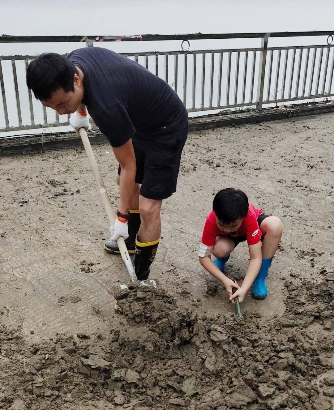 上阵父子兵上一句是什么