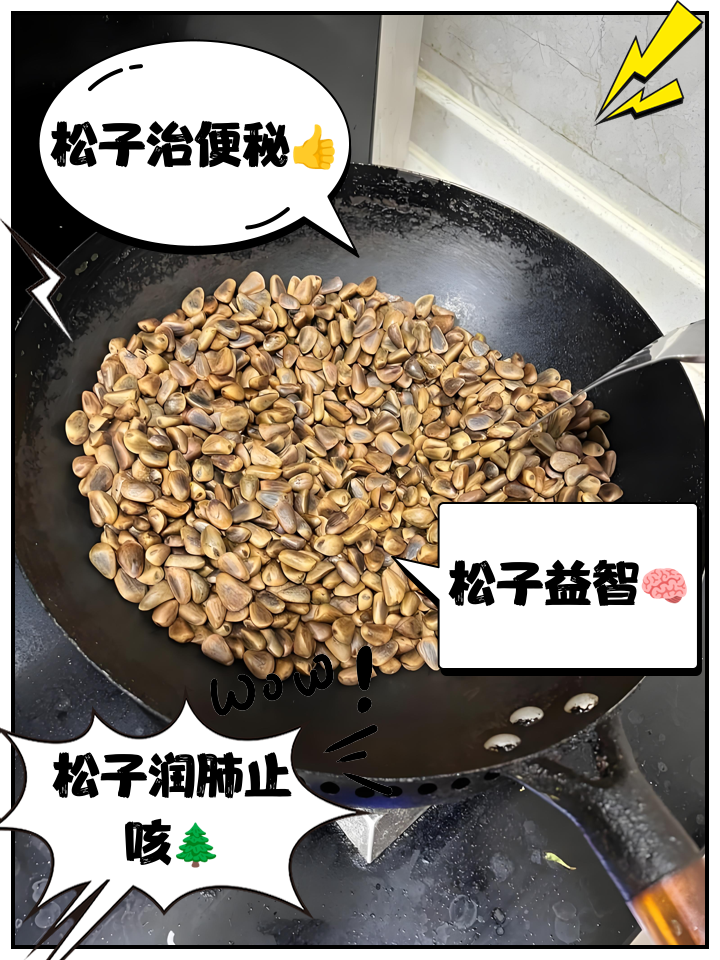 松子的特征