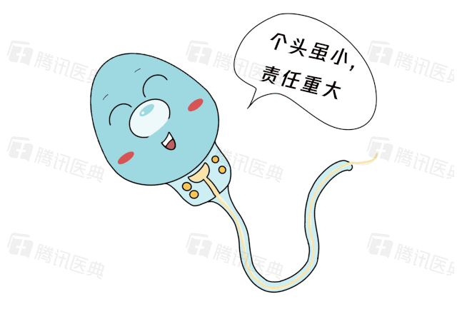 美女战土
