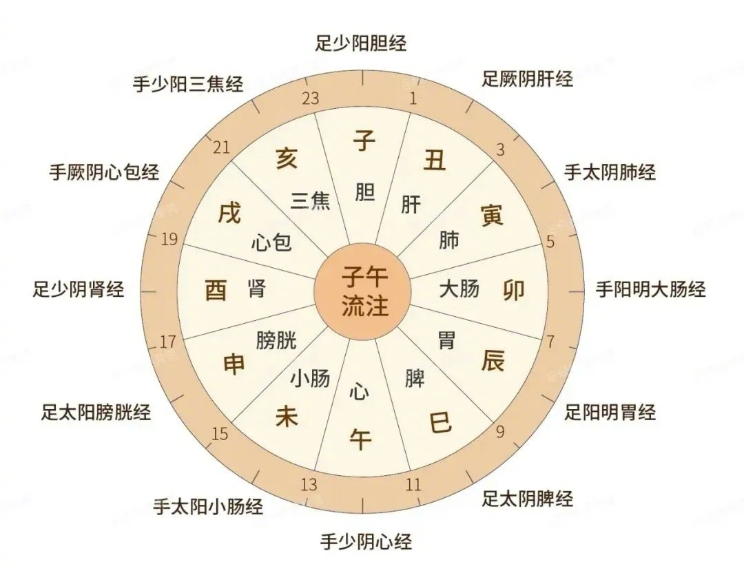 中医早上几点起床最科学
