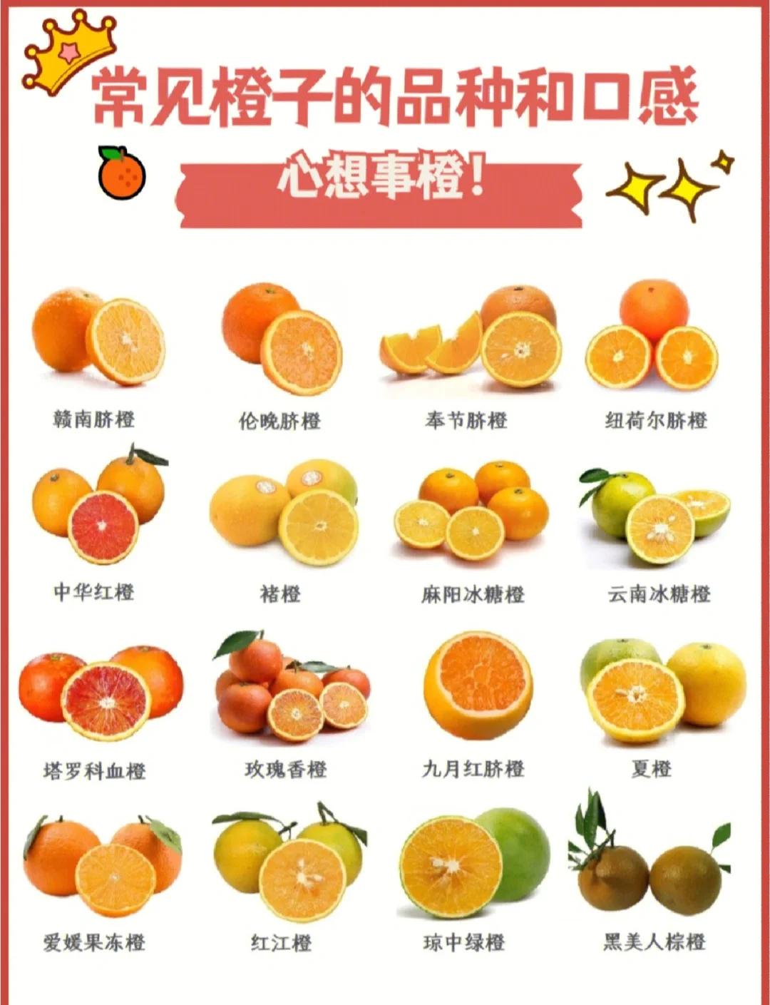 送橙子的寓意和象征