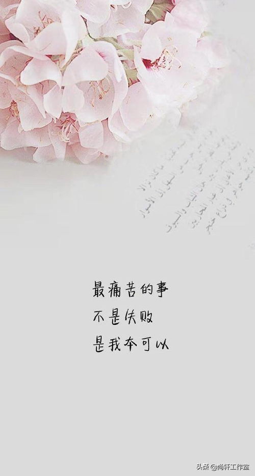 精辟的人生感悟句子摘抄