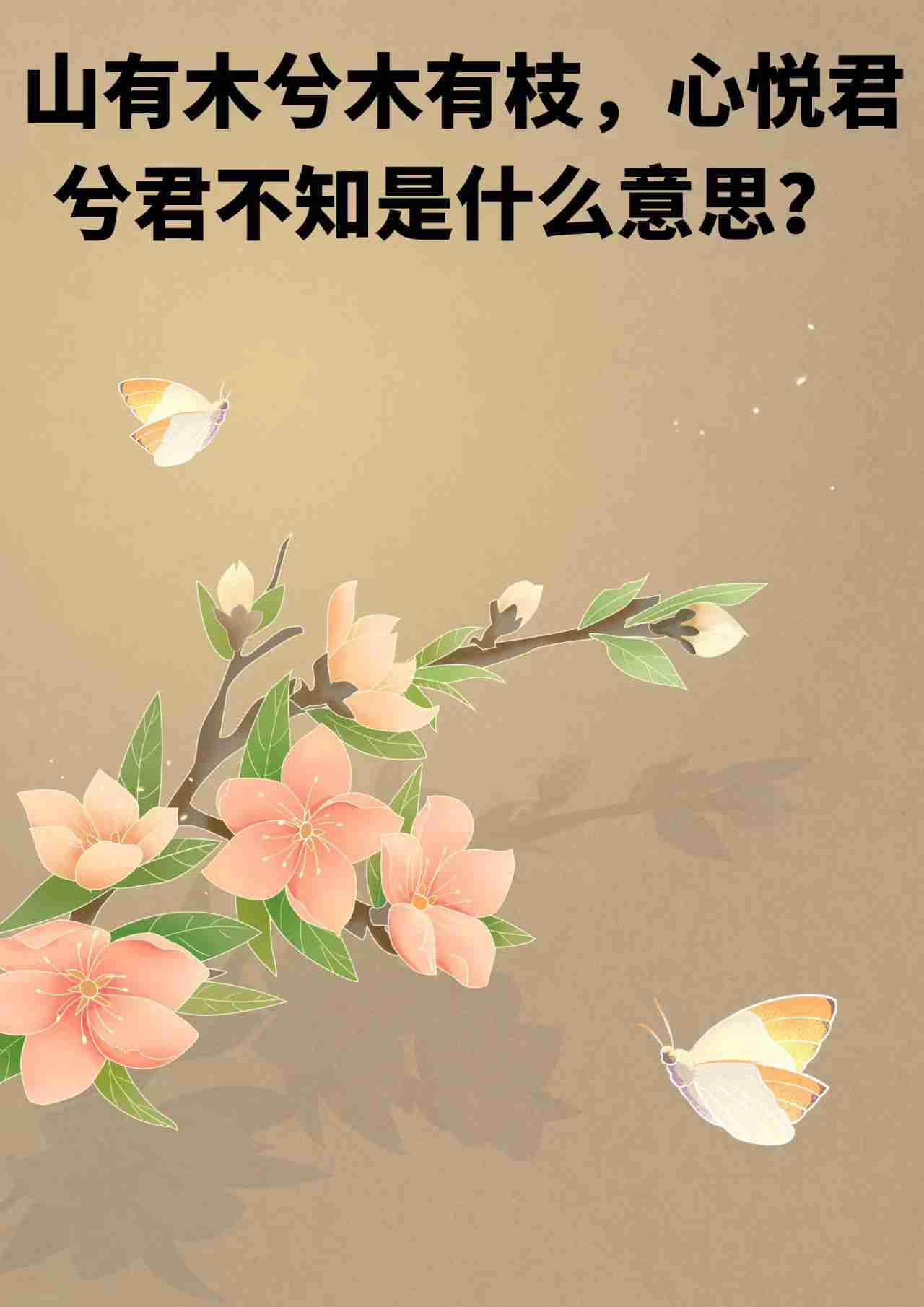 丫枝的意思是什么