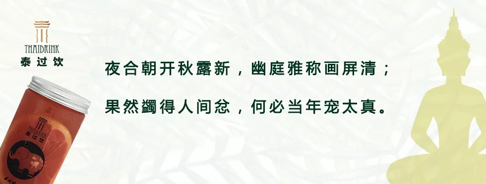 凉风有信秋月无边全诗意思