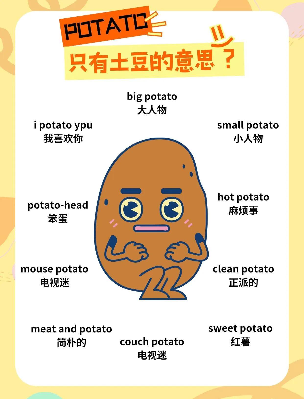 土豆英文怎么读怎么写
