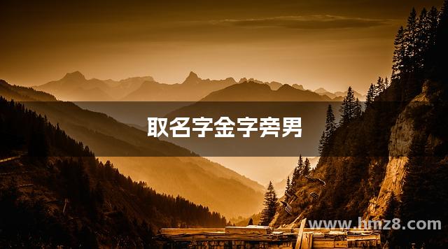 带金字旁的字男孩取名大气磅礴一些