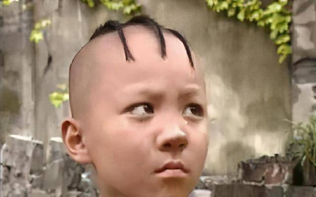 愚力学