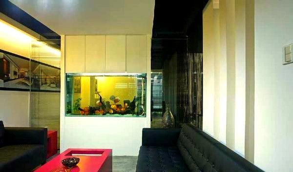 客厅鱼缸摆放禁忌是什么意思