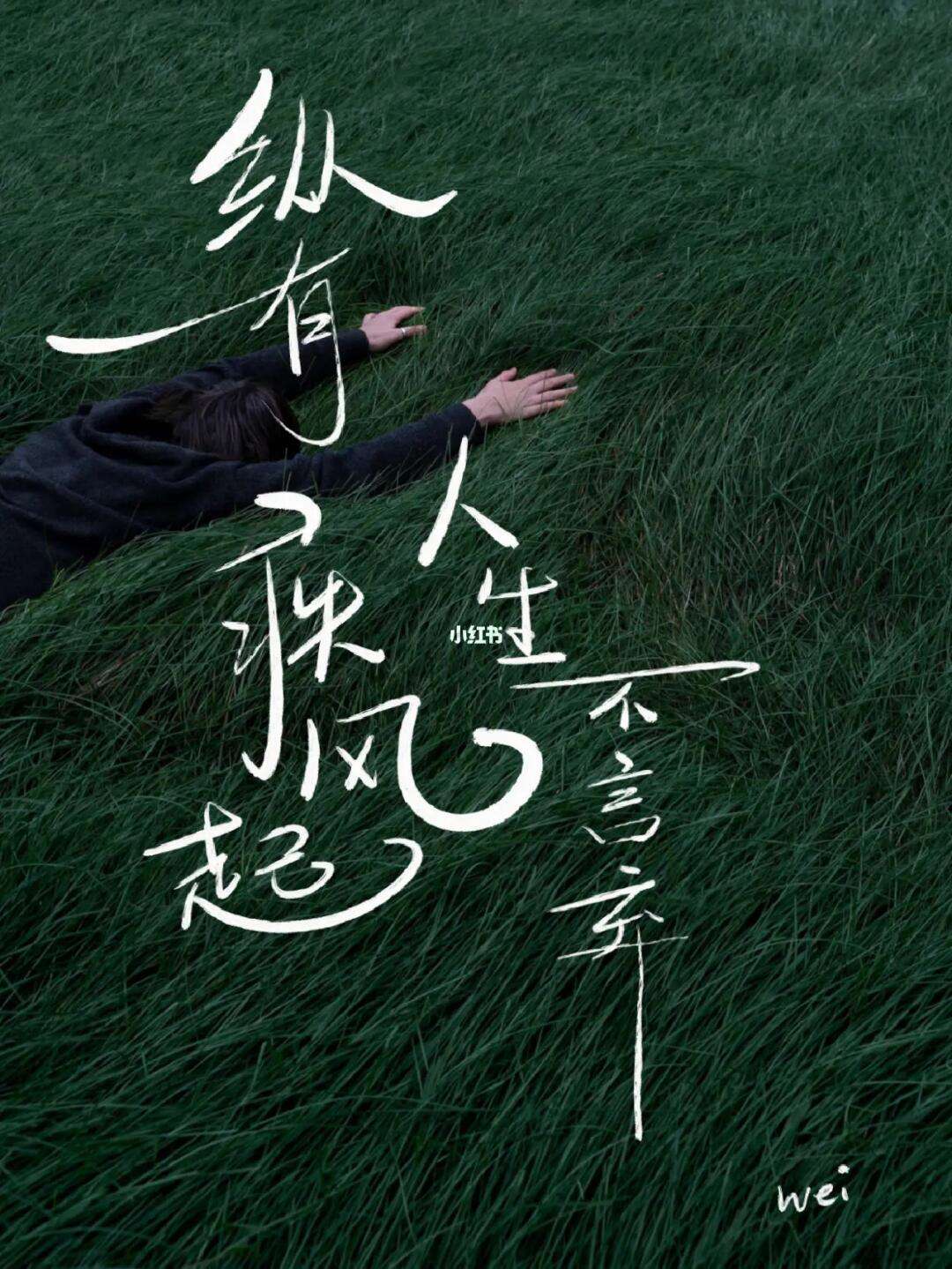 纵有疾风起人生不言弃是什么意思图片