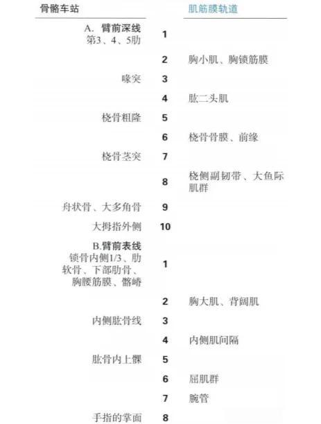 左膀右臂指的是谁