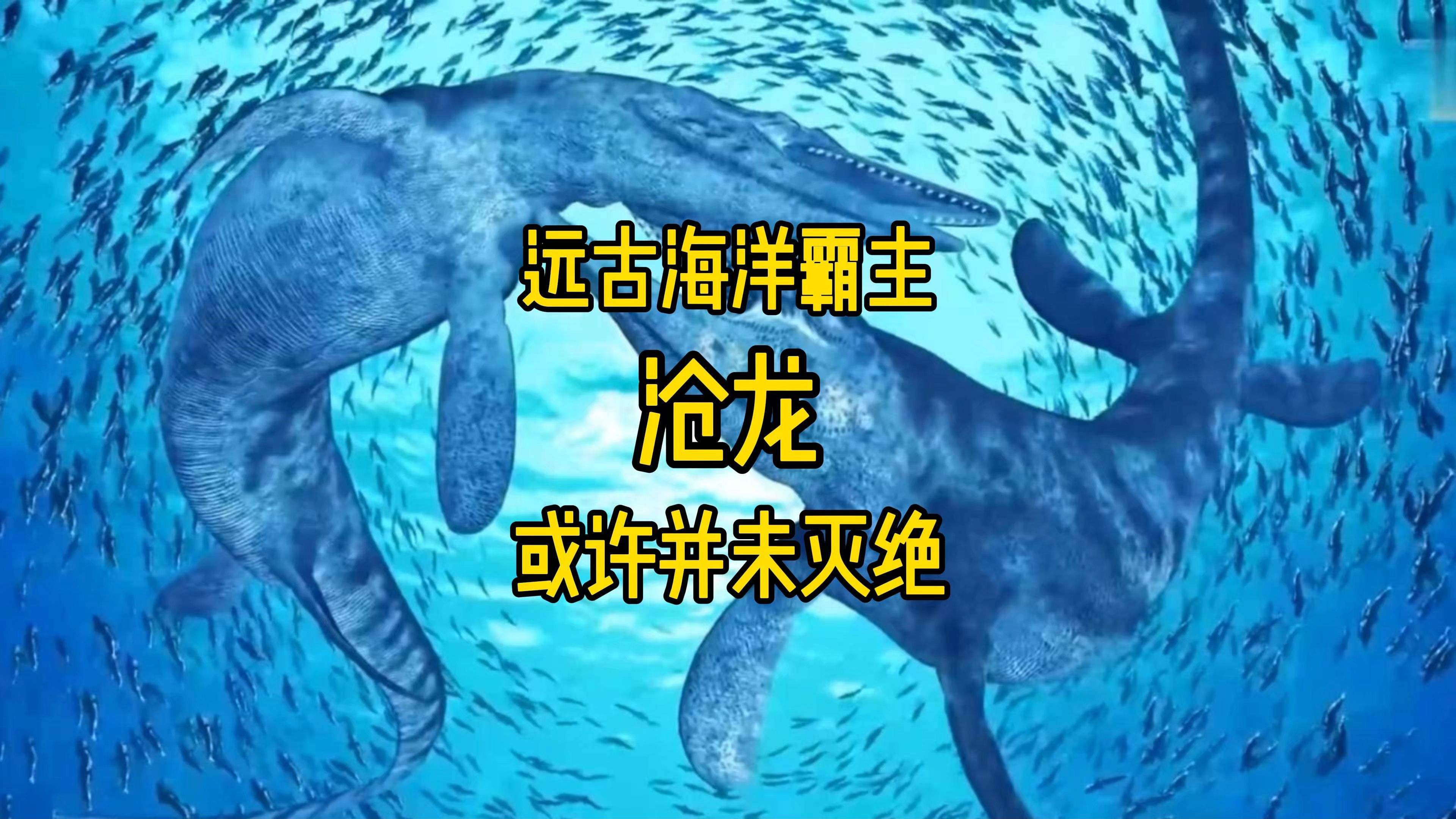 2025年10月1日 第19页