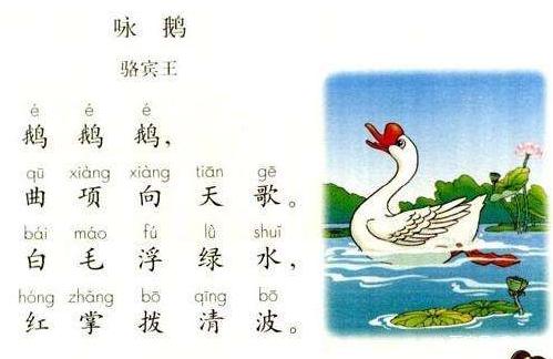 鹅鹅鹅这首诗的作者是谁