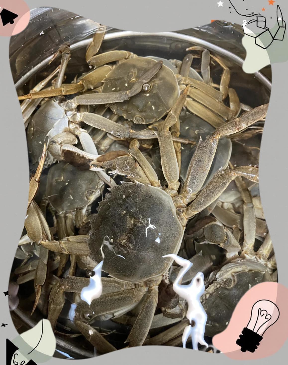 做河蟹怎么做好吃