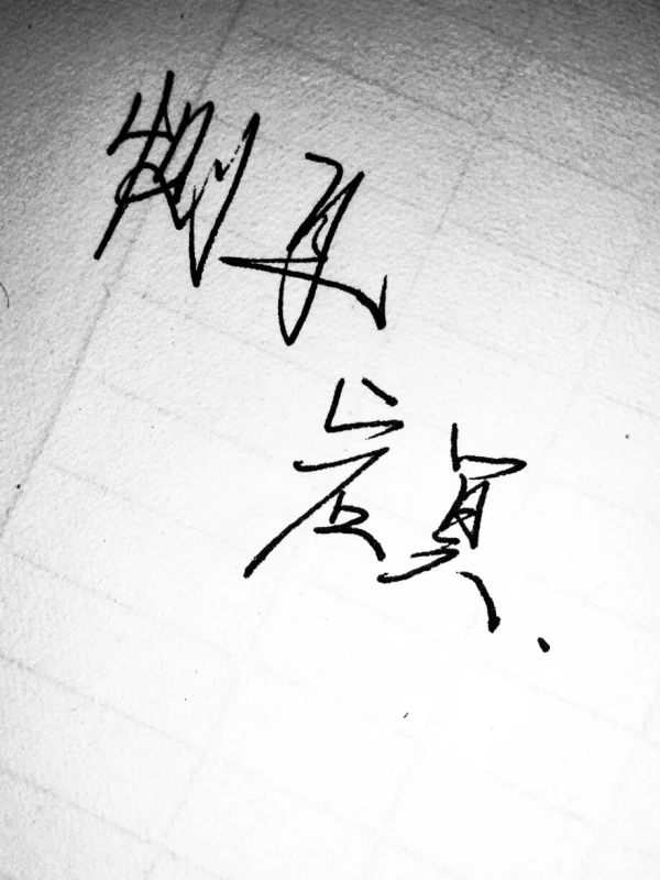 南笙北执是情侣网名吗