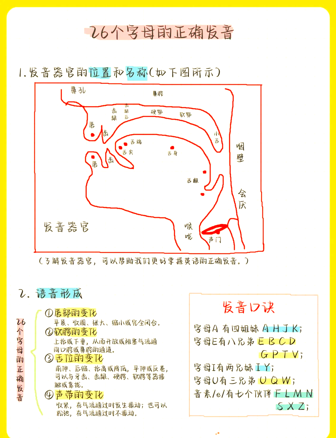 字母u前面是a还是an