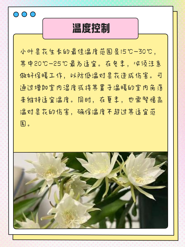 家里面适合养昙花吗