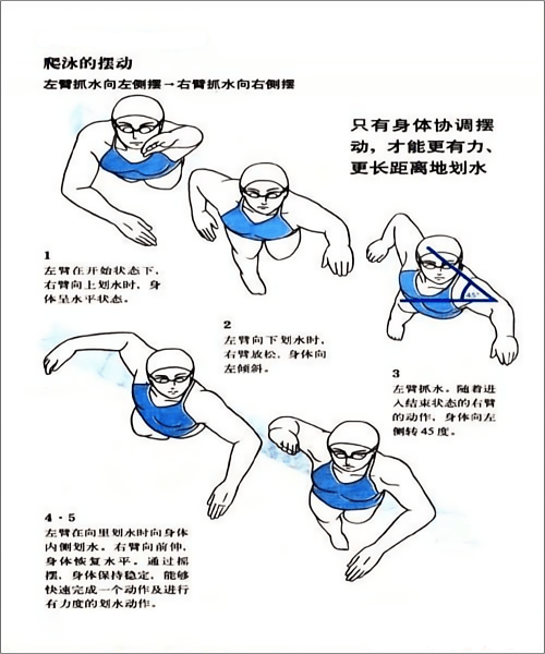 游泳技巧和要诀
