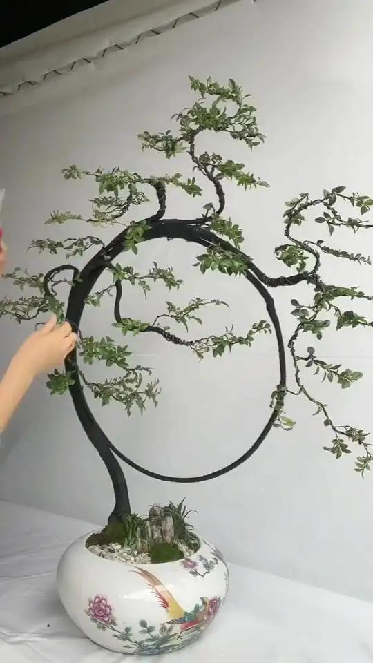 金枝玉叶造型大全