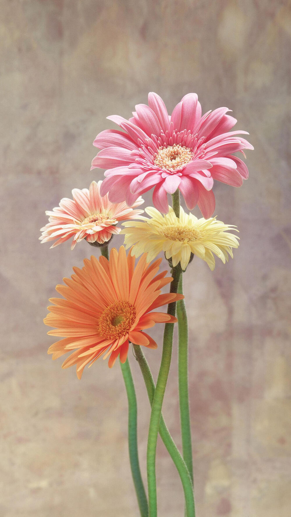 华为锁屏壁纸自动换怎么回事