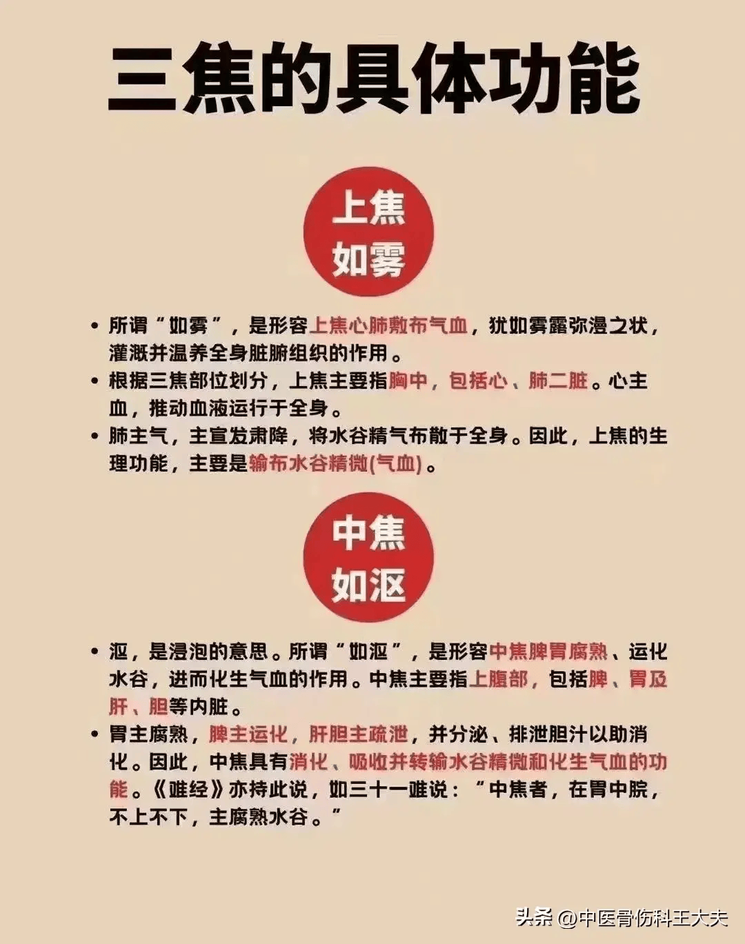 三焦养生的重要性