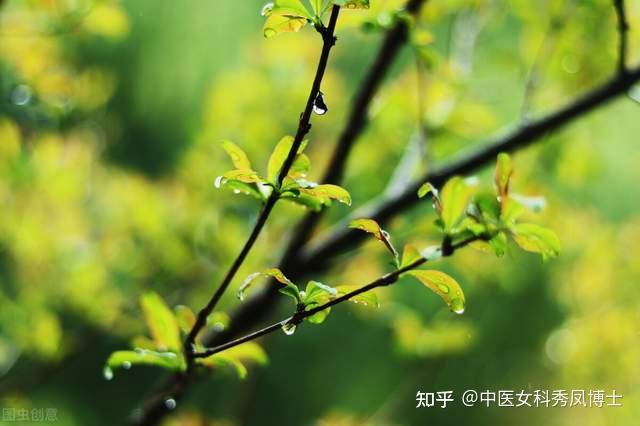 春生的深层含义