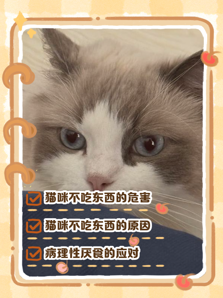 猫咪一直不吃不喝是什么导致的