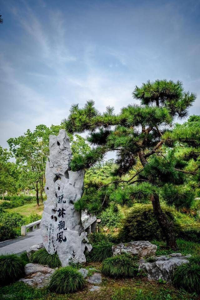 十一去扬州有什么好玩的