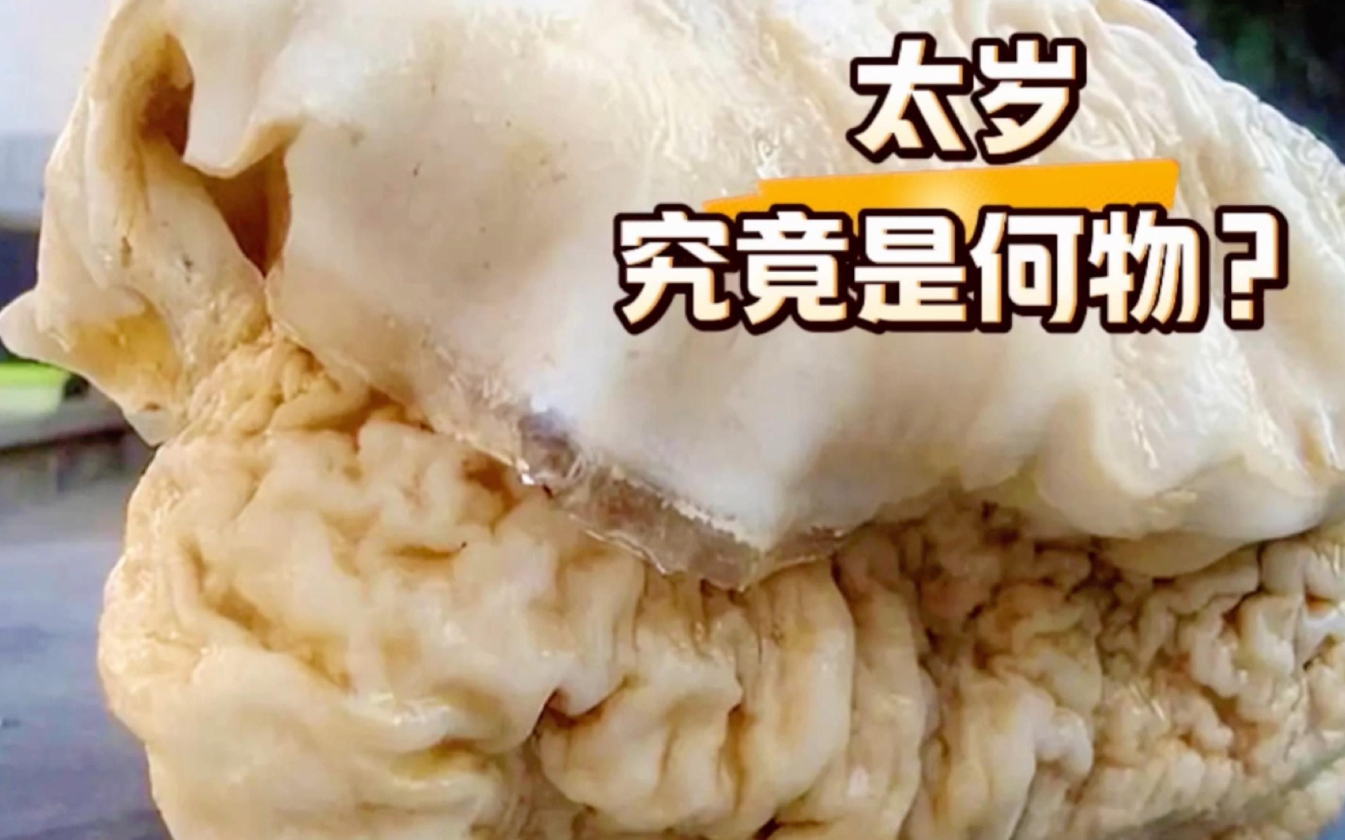太岁生长的地方和样子