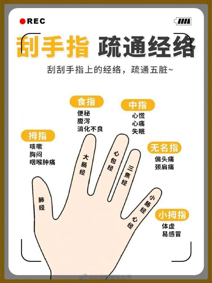养生手诊