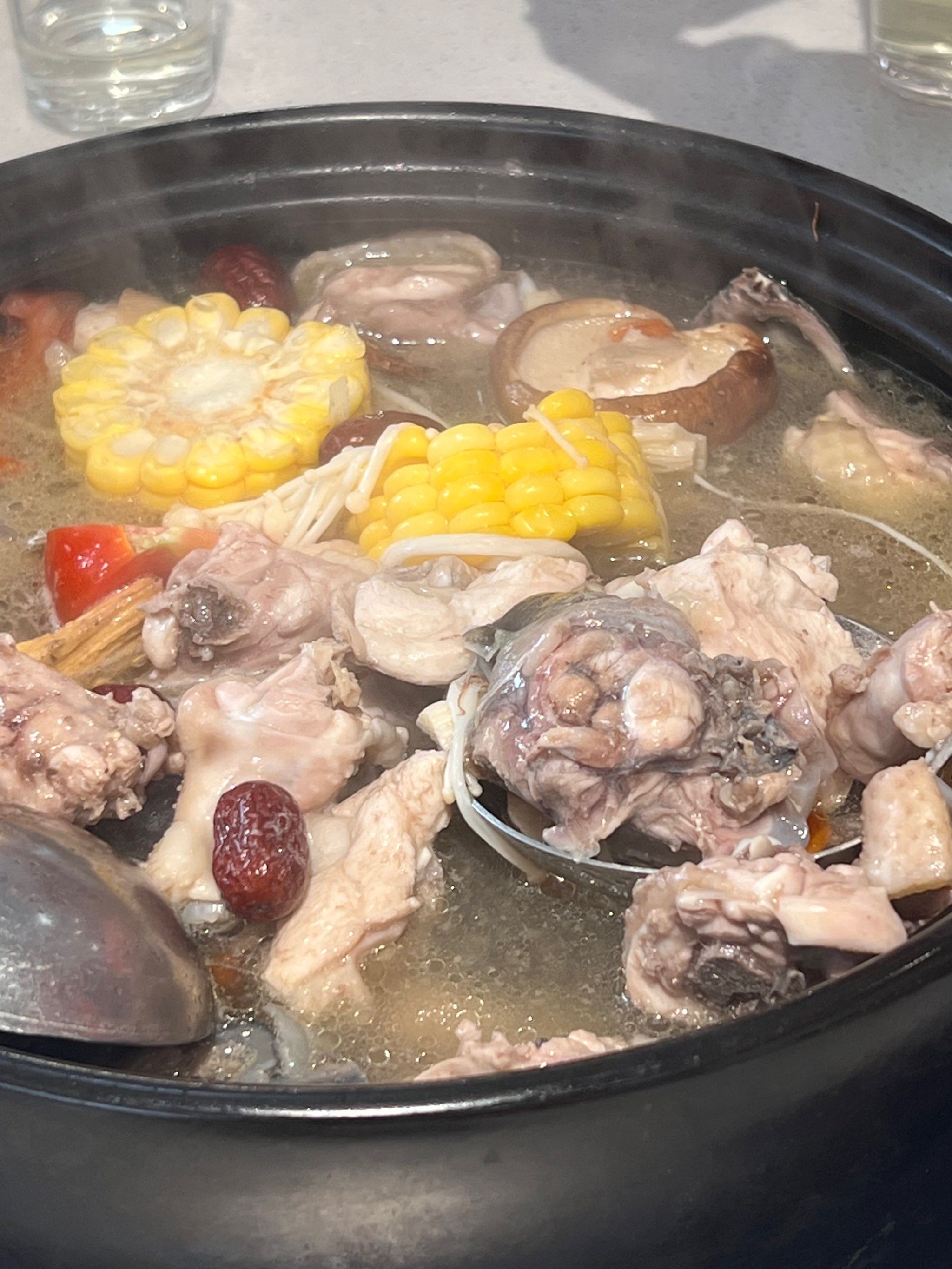 甲鱼炖鸡的家常做法视频教程大全