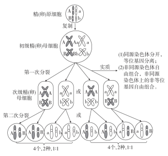 七八定律萌娘百科
