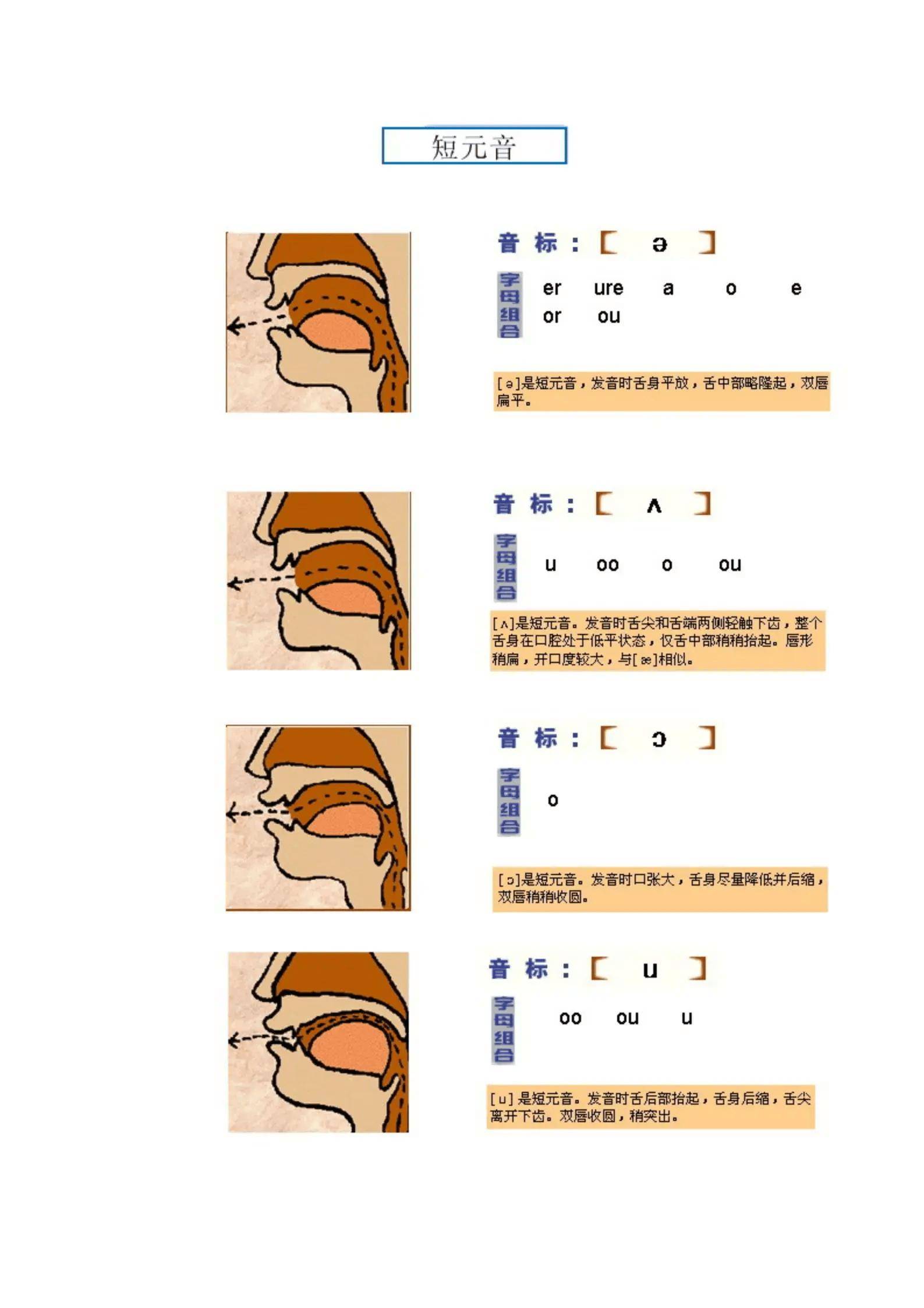 skis怎么读音