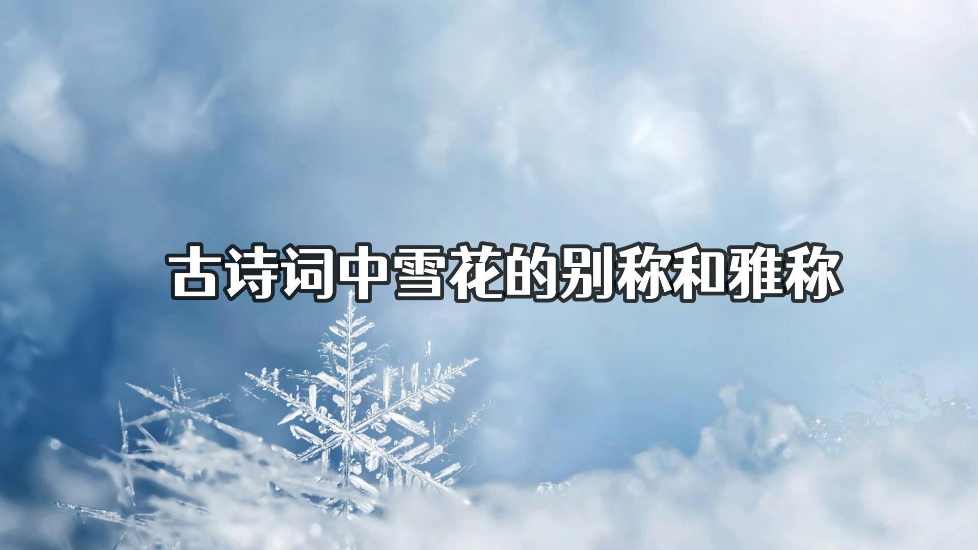 什么的雪花填空两字