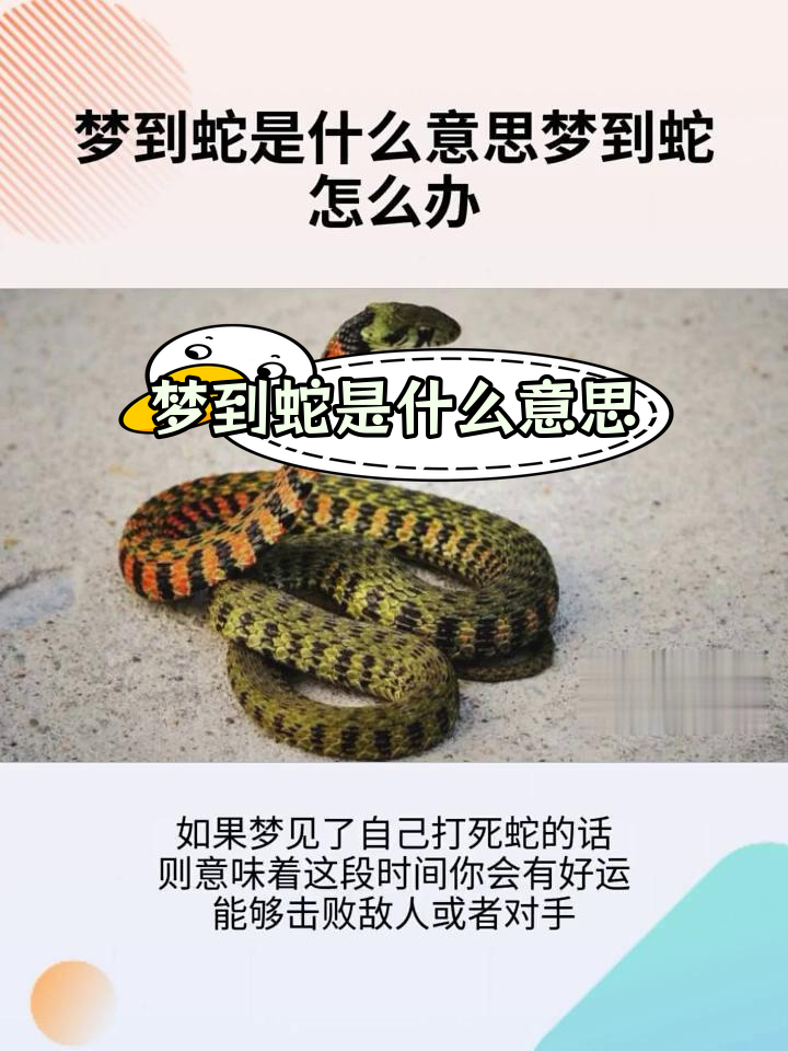 梦见蛇缠身甩都甩不掉好吗