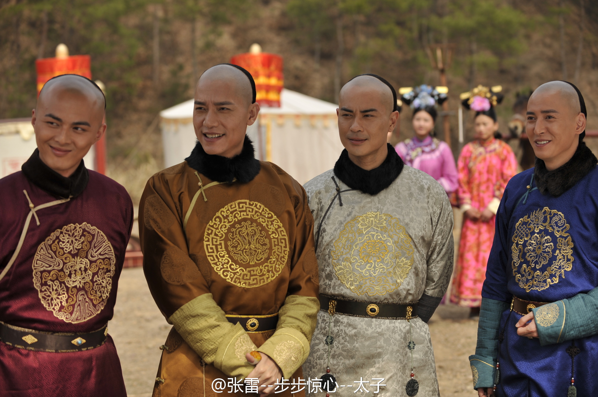 步步惊心的剧情简介