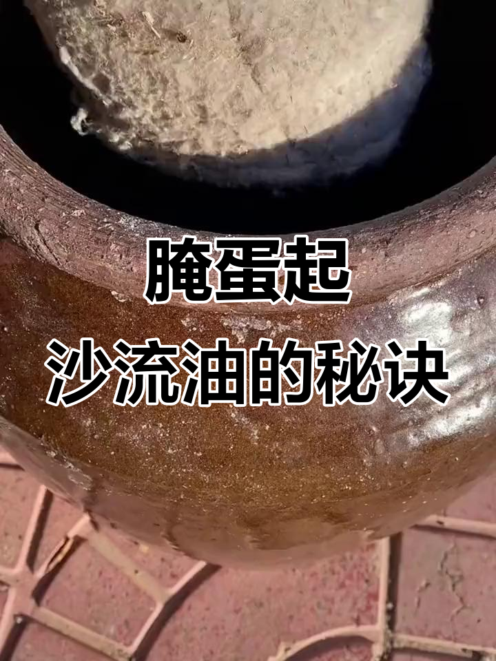 2025年10月10日 第63页