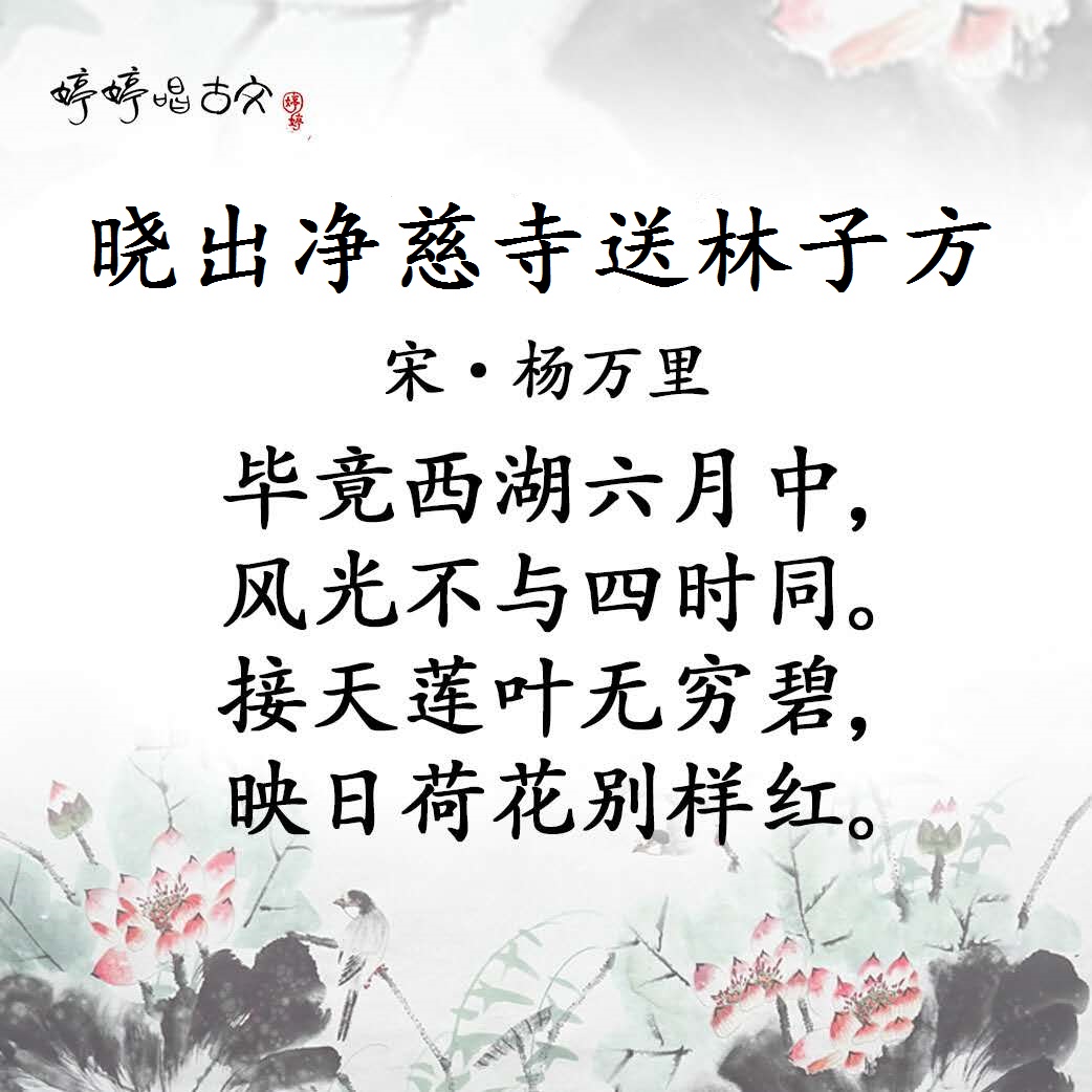 晓出净慈寺送林子方古诗带拼音