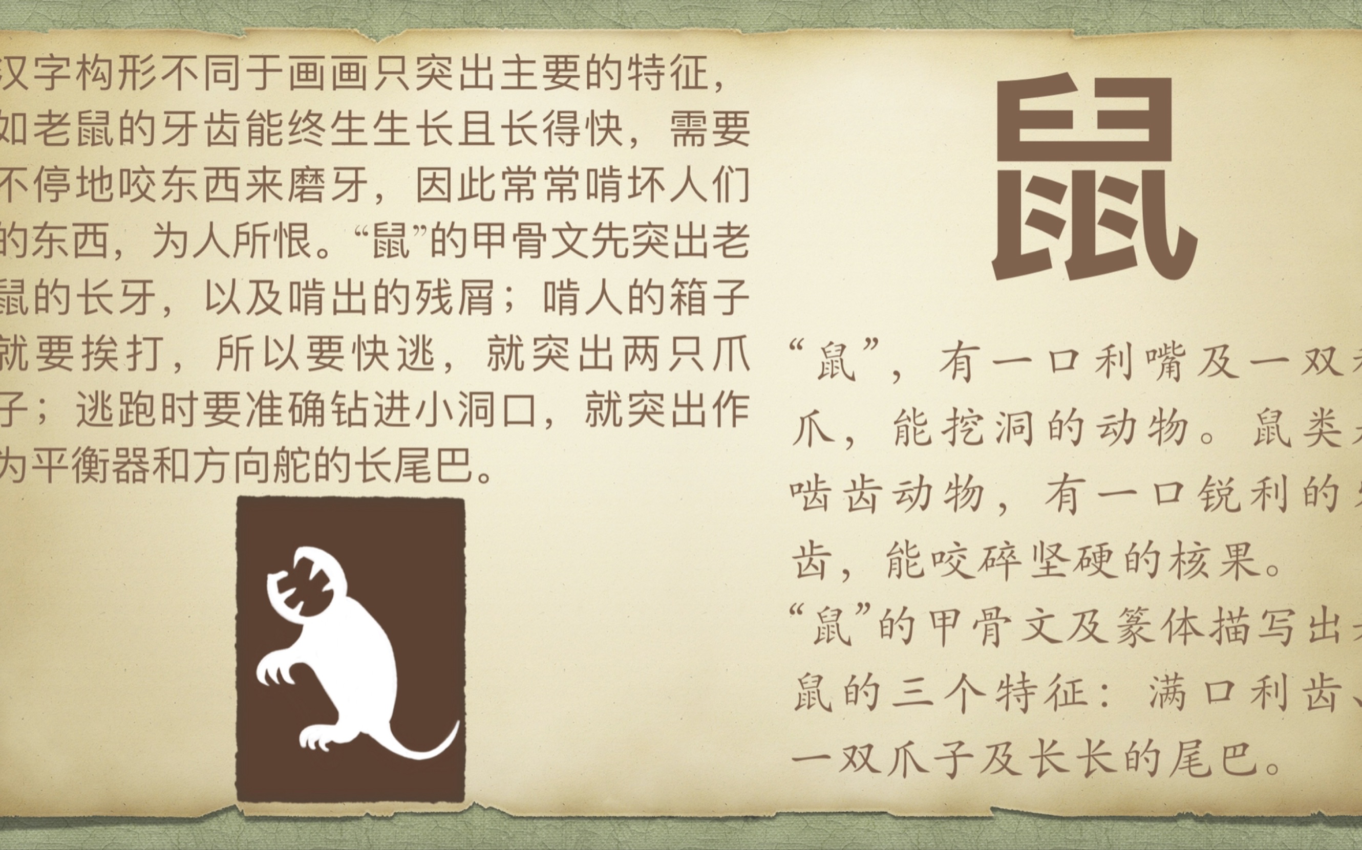 有关老鼠的词语