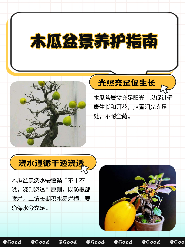 木瓜的种植技术要点和方法