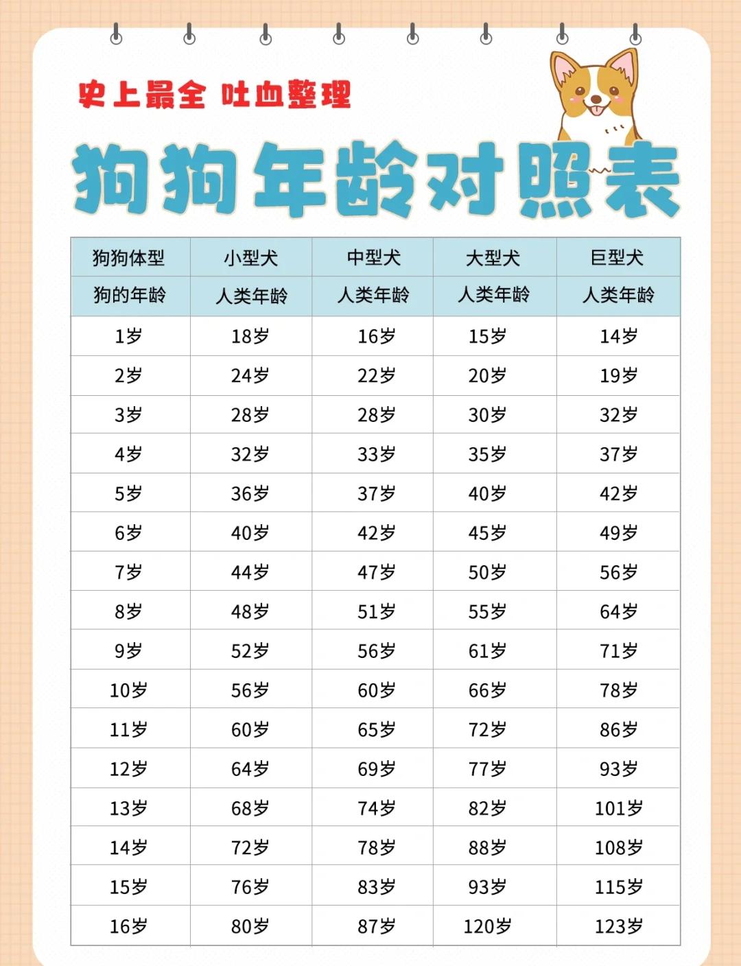 狗最多能活多少年寿命