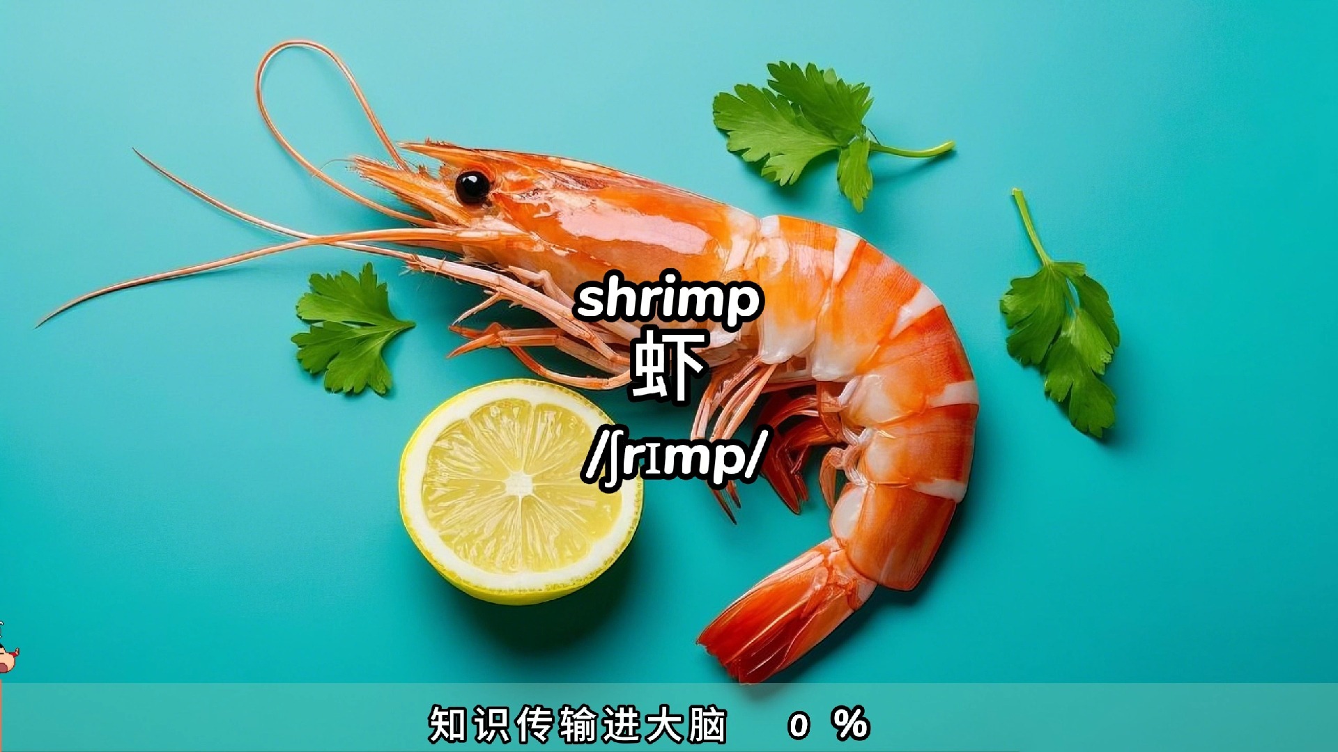 2025年10月11日 第15页