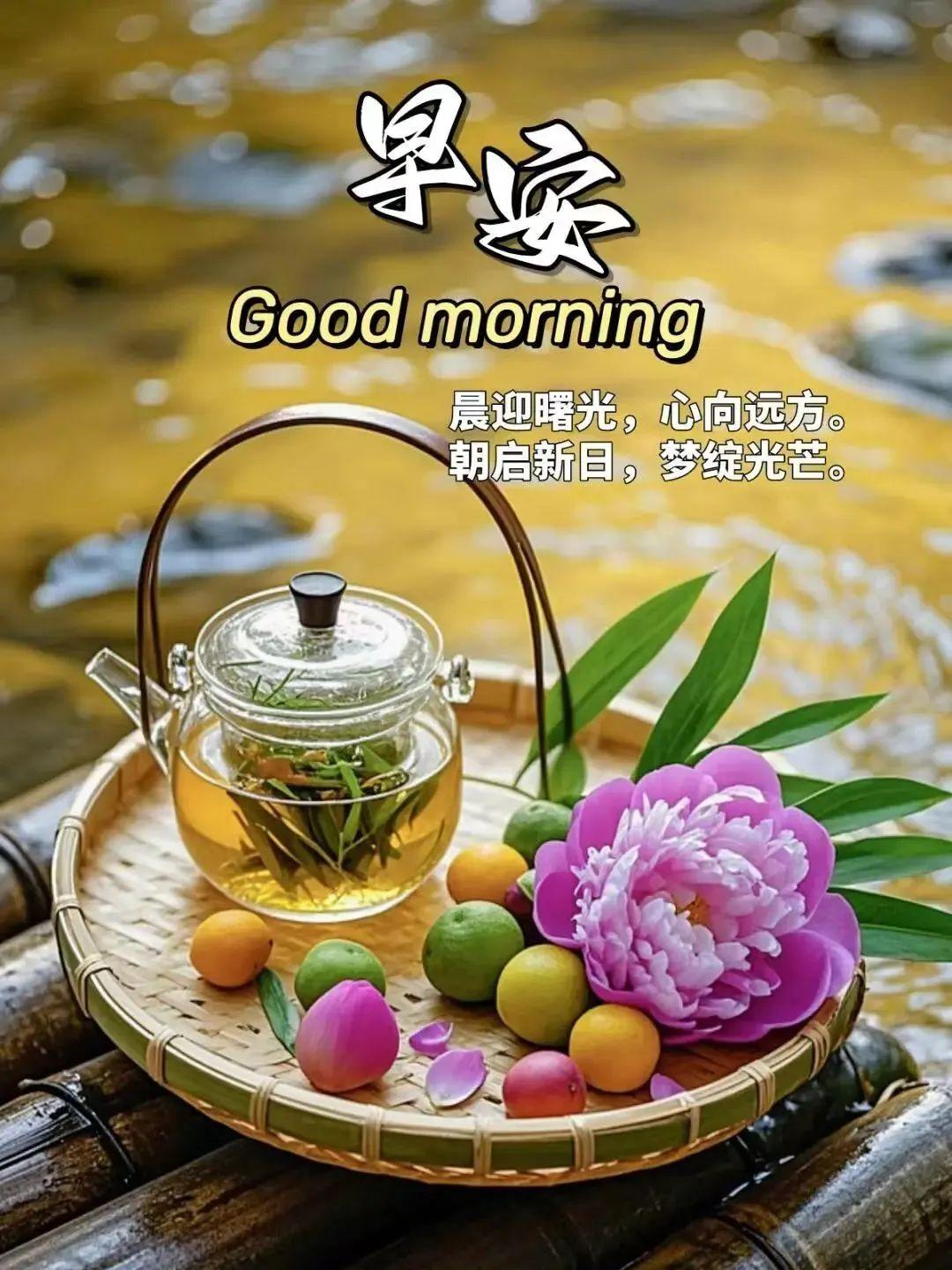 祝福的话语 句句暖人心简单大方